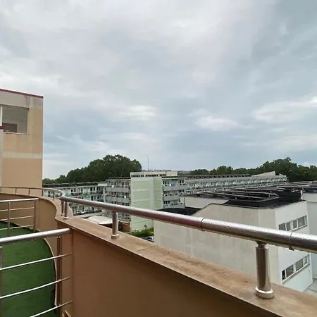 Esperanto 402 Large Sunny