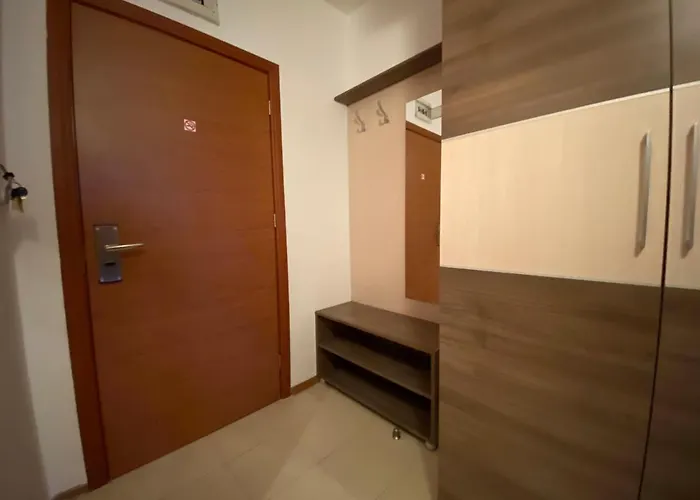 Esperanto 402 Large Sunny *